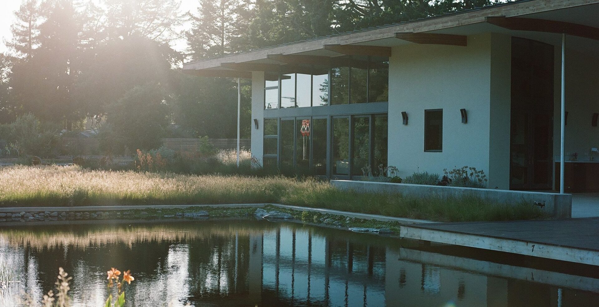 A house with a pond and trees in the background