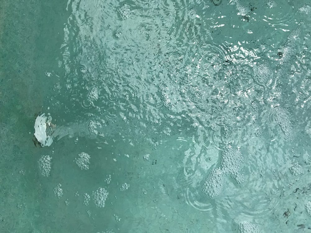 A view of the water surface from above.