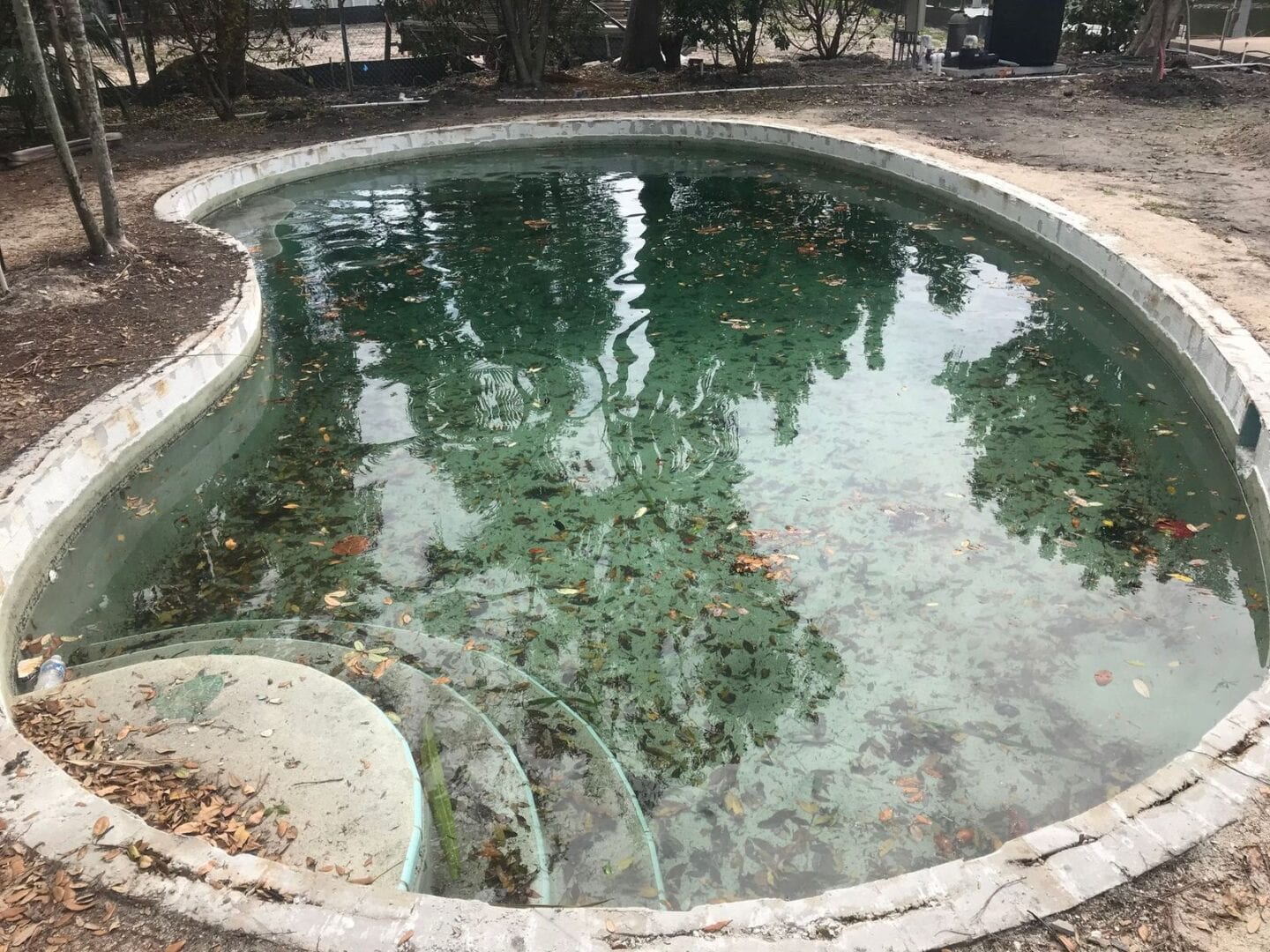 A pool of water with trees in the background.