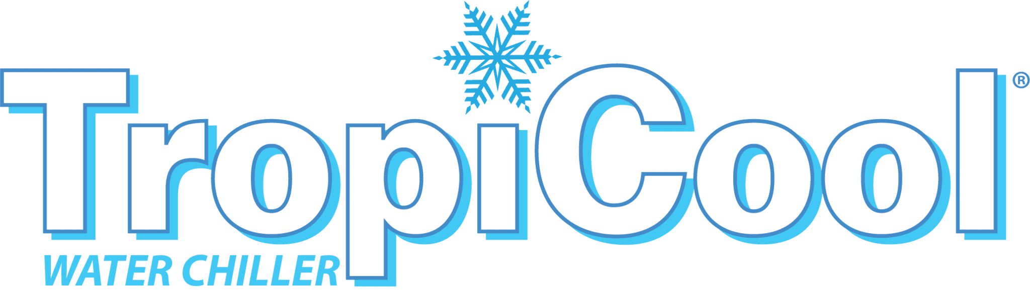 A picture of the word pic with a snowflake on it.